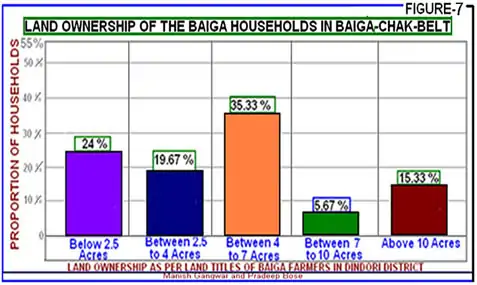 Indigenous Baiga people