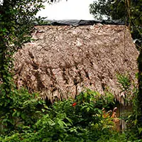 Indigenous Maleku people