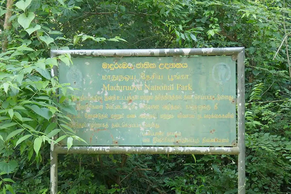 Indigenous Veddas Sri Lanka